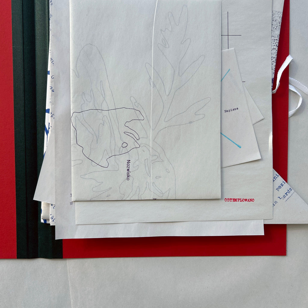 New Passport – Tomasz Jakub Motyka / Michał Chojecki