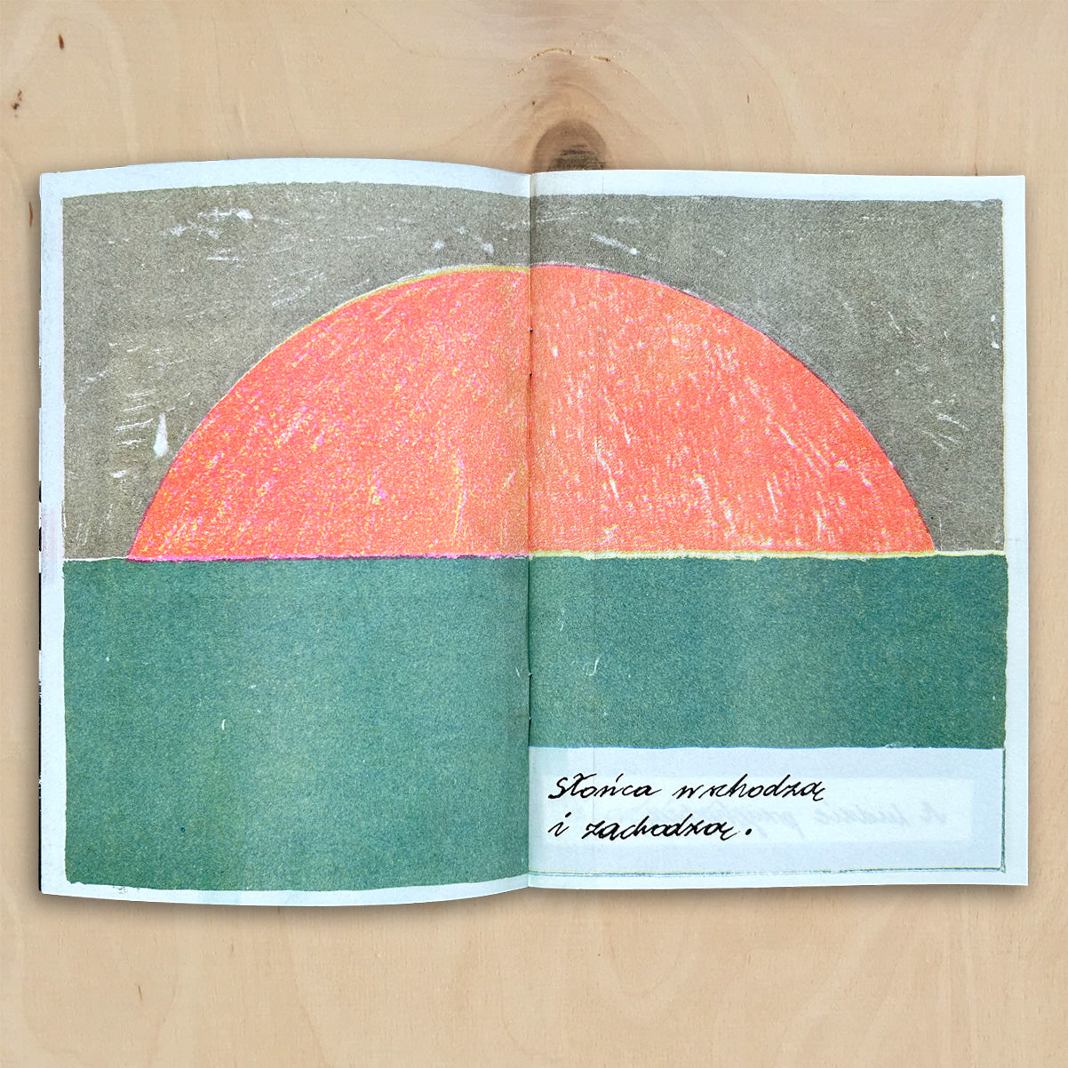 Skąd się biorą motyle? – Nina Iżycka