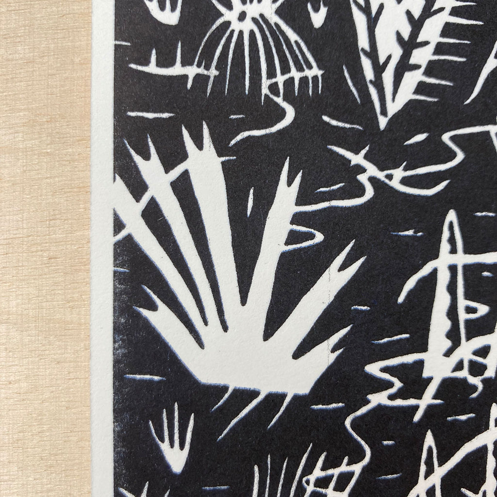 Interspecies Meeting - Miroslav Weismuller