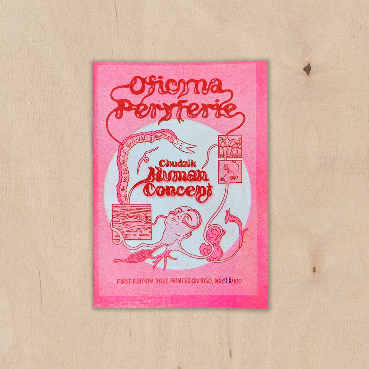 HUMAN CONCEPT - Agata Chudzik