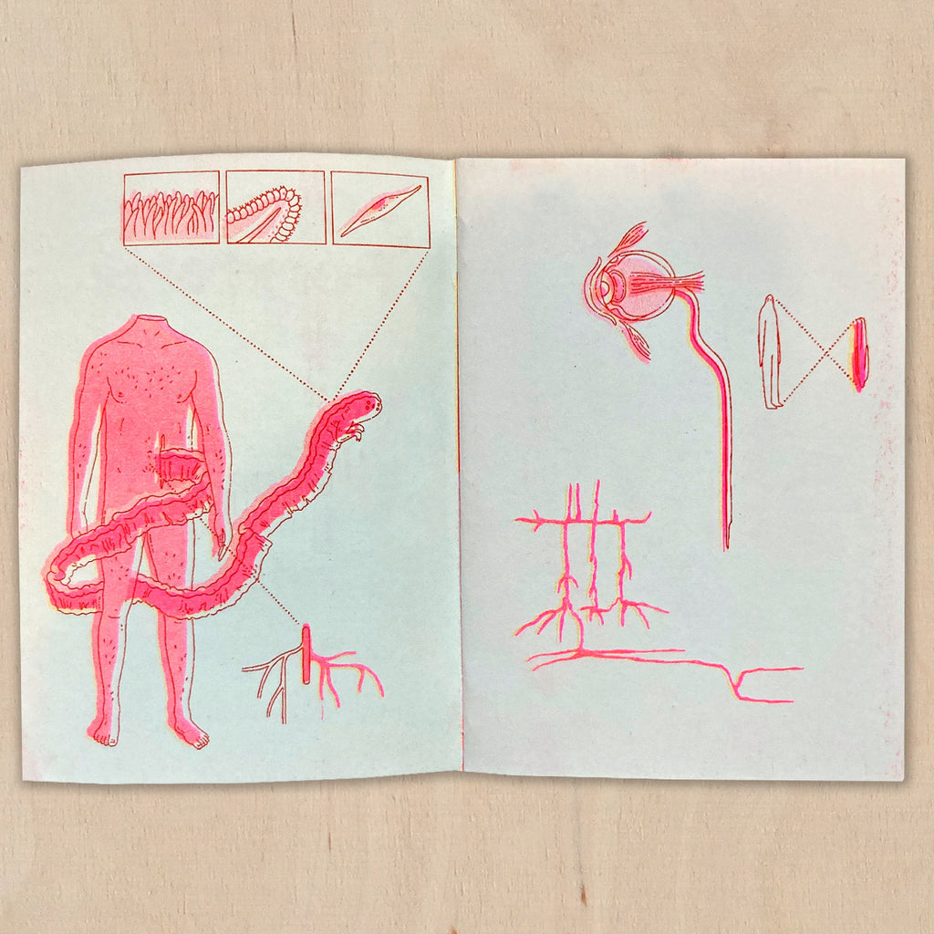 HUMAN CONCEPT - Agata Chudzik