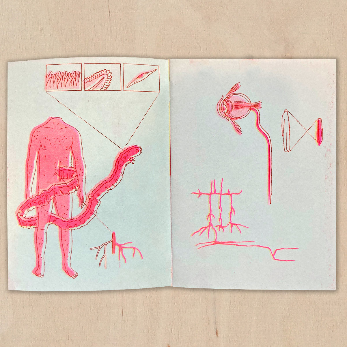 HUMAN CONCEPT - Agata Chudzik