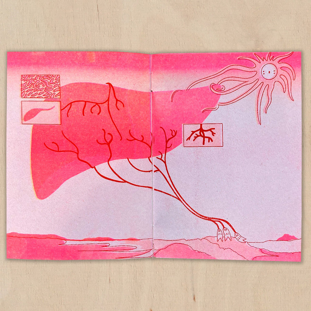 HUMAN CONCEPT - Agata Chudzik