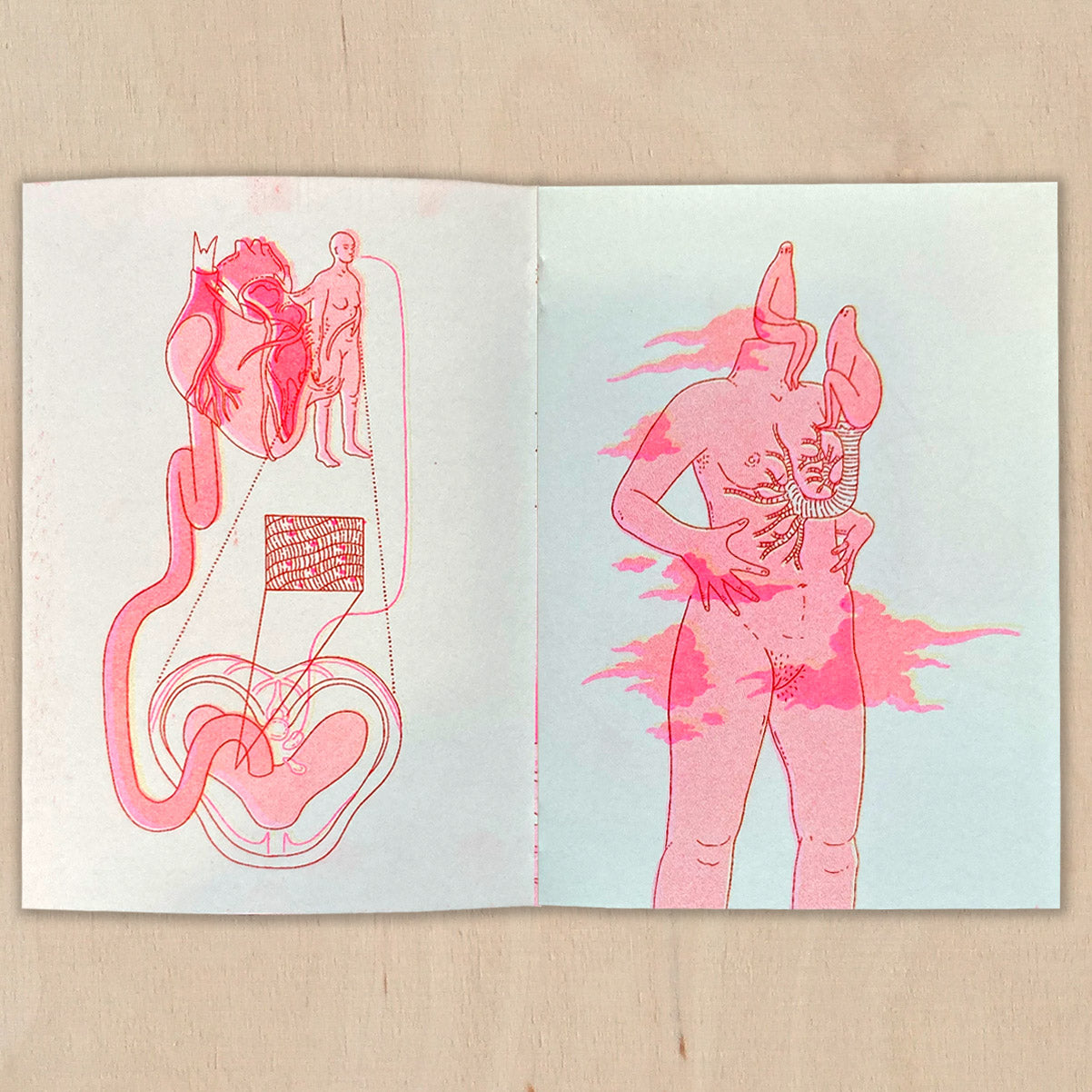 HUMAN CONCEPT - Agata Chudzik