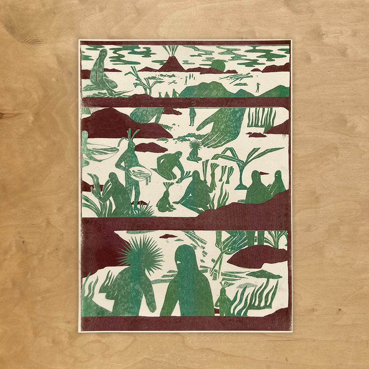 Rośliniarze – Karolina Lubaszko