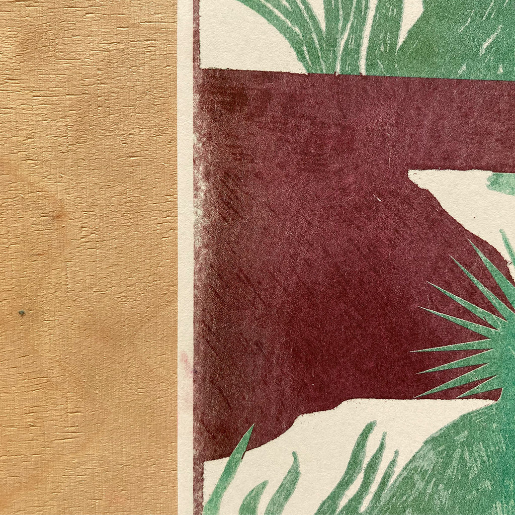 Rośliniarze – Karolina Lubaszko