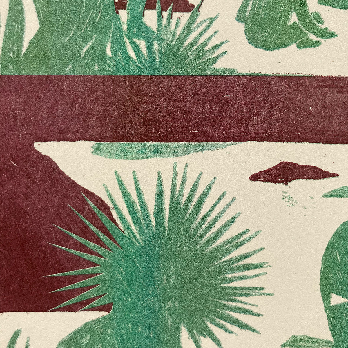 Rośliniarze – Karolina Lubaszko