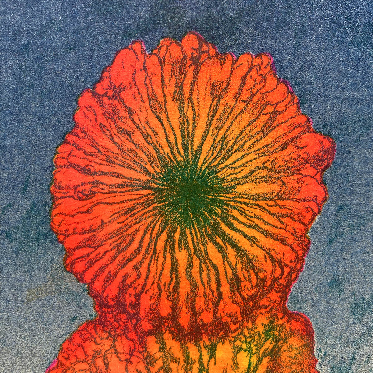 Journey of the octopus man - Zuzanna Wołejko