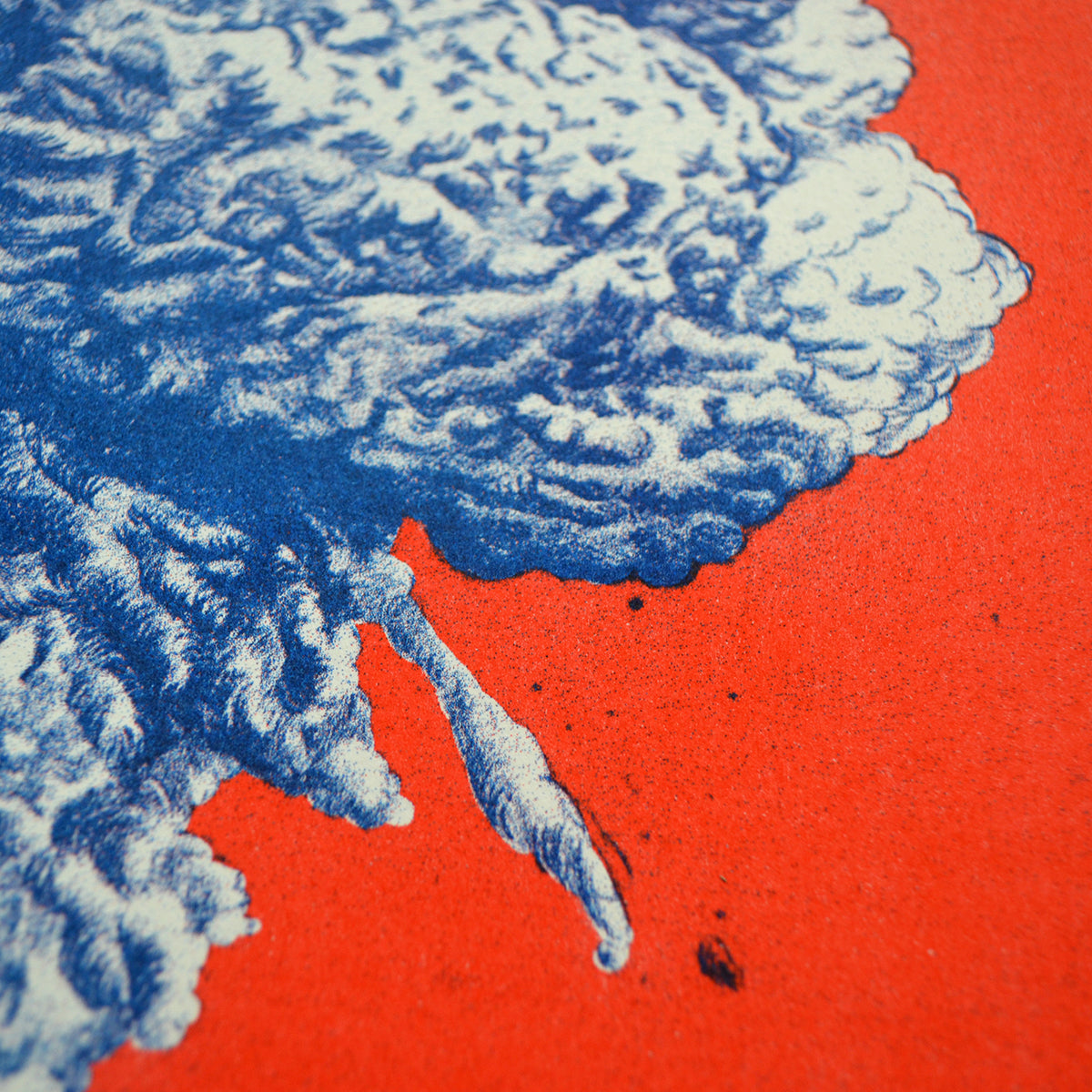 Jak zrobić porządek - Marta Tomiak